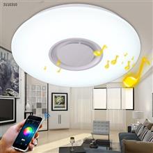 LED Ceiling Light 24W with Bluetooth Speaker Music Sync Dimmable APP Control Round Mount for Living Bedroom Dining Room Kitchen Smart LED Bulbs N/A